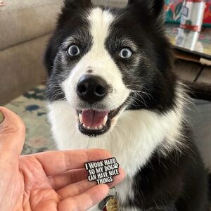 I Work Hard So My Dog Can Have Nice Things pin NEW (dog not included!)
